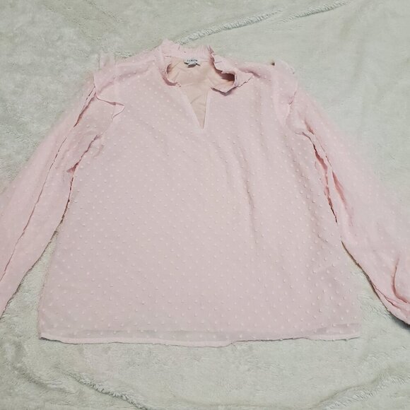 J. Crew Soft Pink Swiss Dot Ruffle Flowy Long Sleeve V Neck Blouse Top‎ Women S - Picture 2 of 10